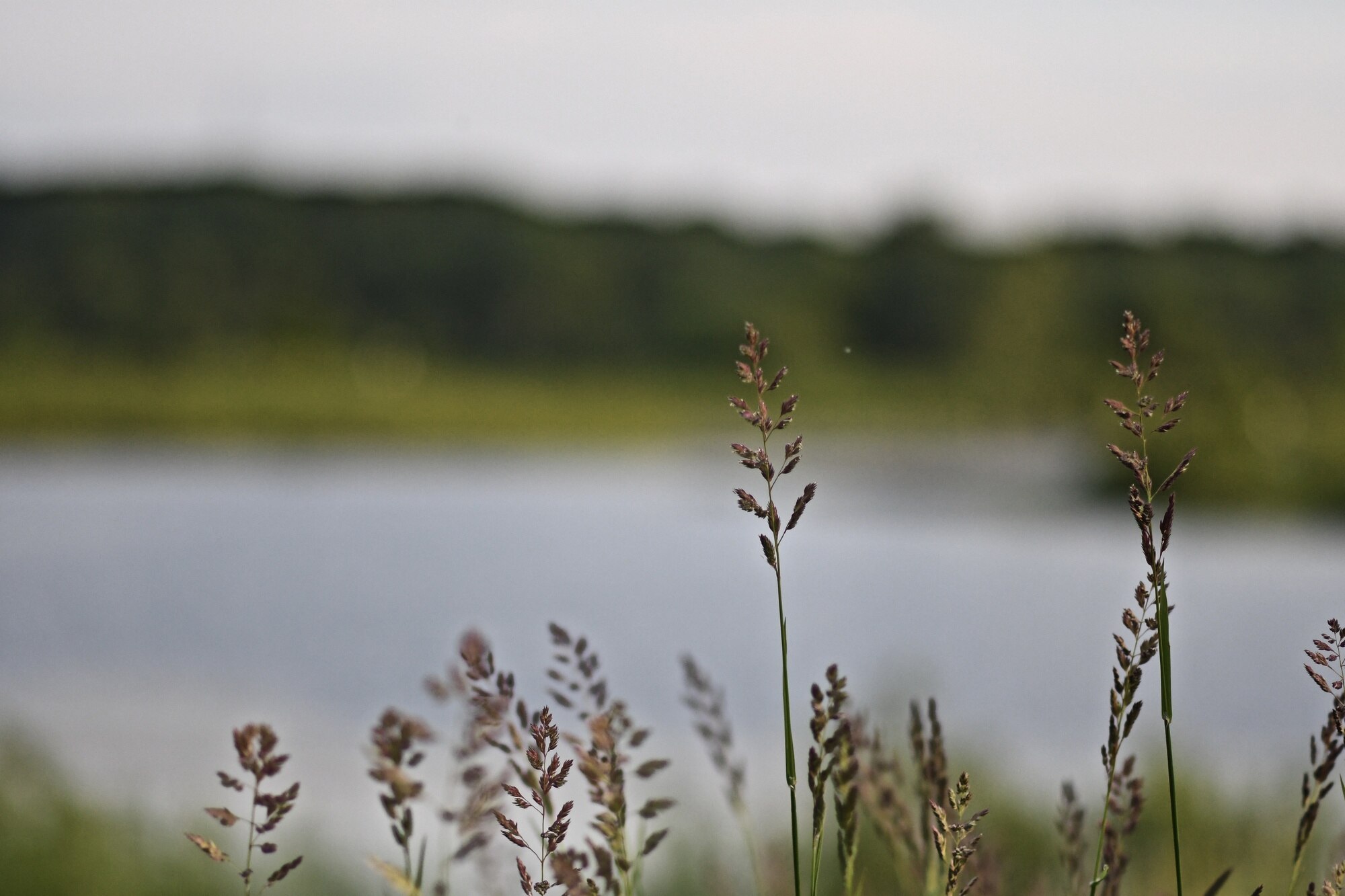 Serene environment